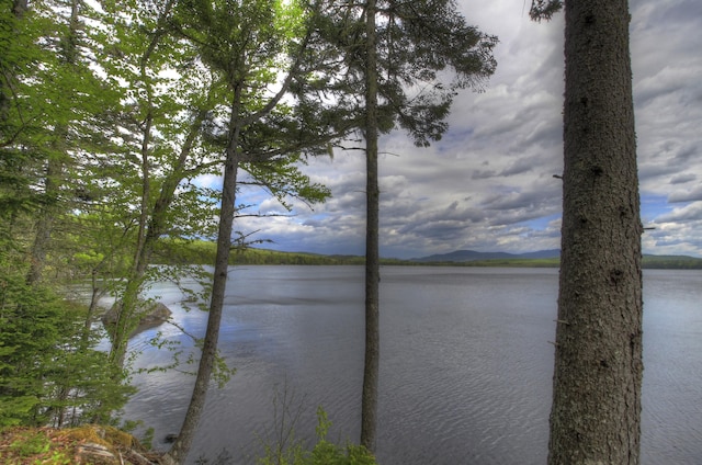LOT19 Herr Trl, Adamstown Twp, ME 04970