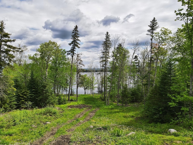 LOT19 Herr Trl, Adamstown Twp, ME 04970