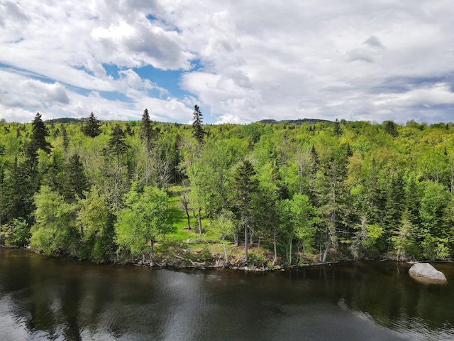 LOT19 Herr Trl, Adamstown Twp, ME 04970