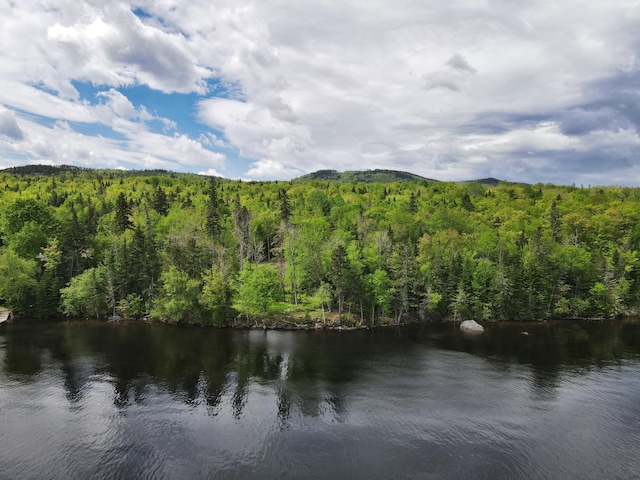 LOT19 Herr Trl, Adamstown Twp, ME 04970