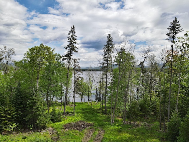 LOT19 Herr Trl, Adamstown Twp, ME 04970