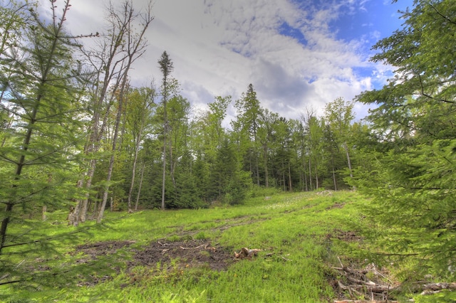 LOT19 Herr Trl, Adamstown Twp, ME 04970