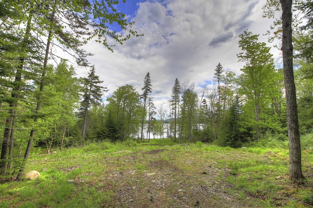 LOT19 Herr Trl, Adamstown Twp, ME 04970