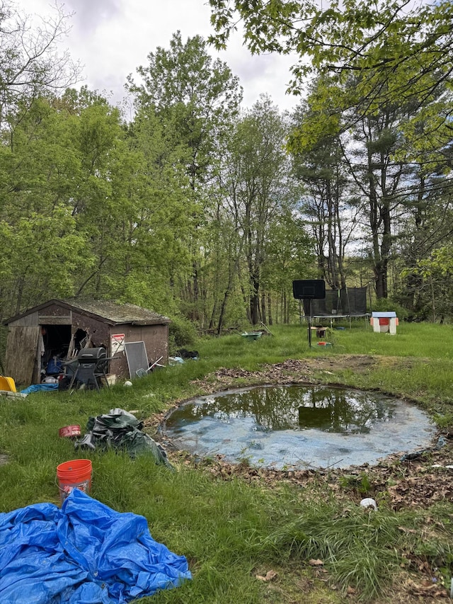 view of yard featuring a trampoline, a storage unit, a garden pond, and an outbuilding