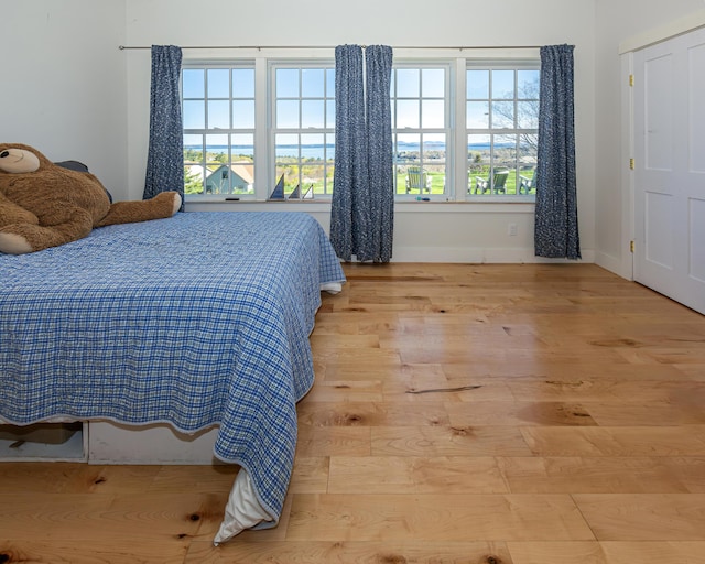 67 Hamilton Hill Way, Bar Harbor, ME 04609 - bedroom featuring baseboards and wood finished floors