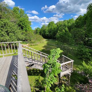 15 River Rd, Phillips, ME 04966 - wooden deck with a wooded view