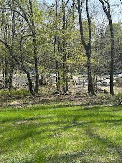 15 River Rd, Phillips, ME 04966 - view of yard