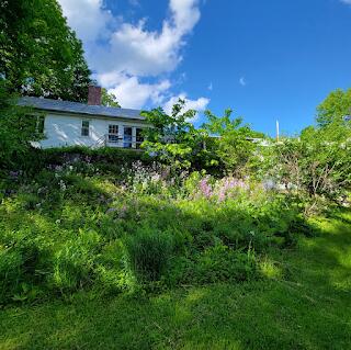 15 River Rd, Phillips, ME 04966 - view of yard