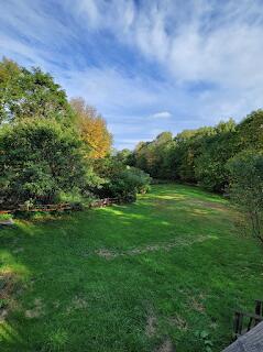 15 River Rd, Phillips, ME 04966 - view of grassy yard