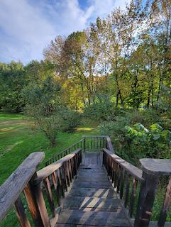 15 River Rd, Phillips, ME 04966 - view of home's community featuring a forest view