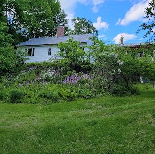 15 River Rd, Phillips, ME 04966 - view of yard