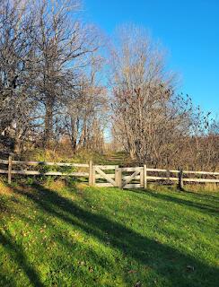 15 River Rd, Phillips, ME 04966 - view of yard featuring a view of countryside
