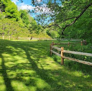 15 River Rd, Phillips, ME 04966 - view of yard with a view of rural / pastoral area