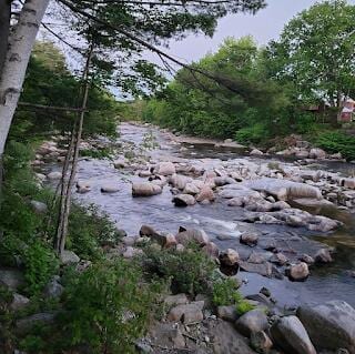 15 River Rd, Phillips, ME 04966 - view of nature