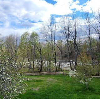 15 River Rd, Phillips, ME 04966 - view of green lawn