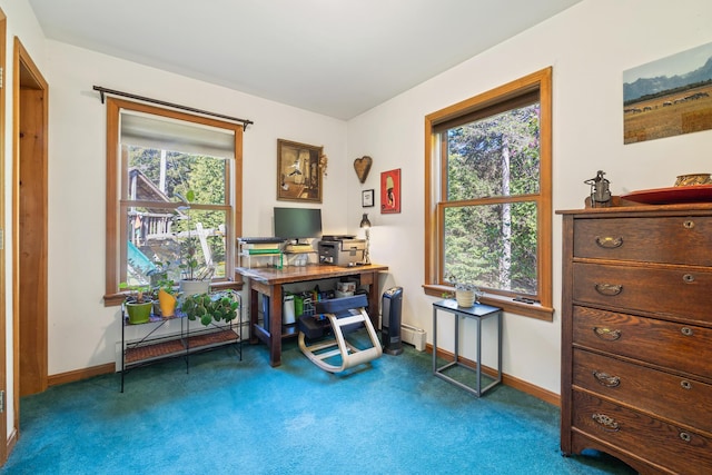 35 Salem Towne Rd, Southwest Harbor, ME 04679 - carpeted office with baseboards