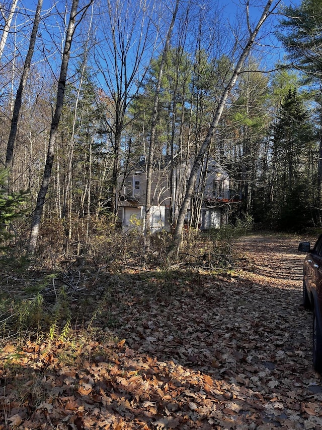 371 Carding Machine Rd, Bowdoinham, ME 04008 - view of yard