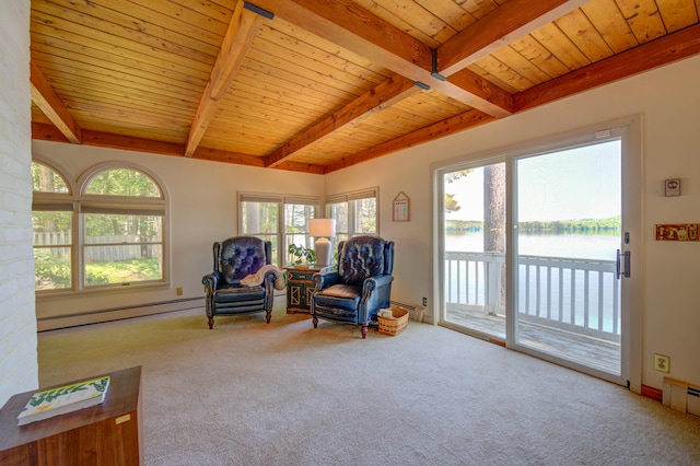 27 Chickadee Ln, Naples, ME 04055 - living area featuring a baseboard heating unit, wooden ceiling with exposed beams, carpet, and a water view