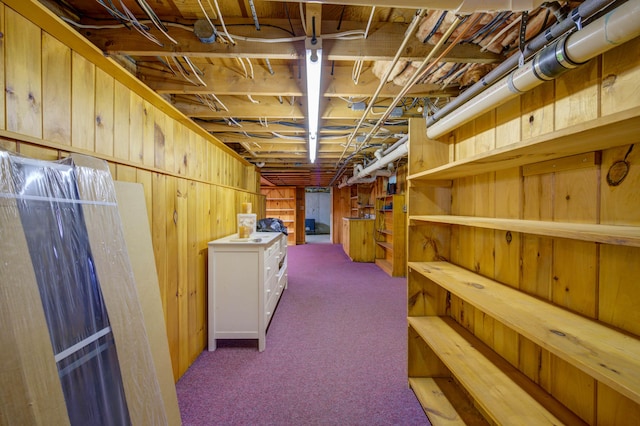 27 Chickadee Ln, Naples, ME 04055 - unfinished below grade area featuring carpet and wood walls