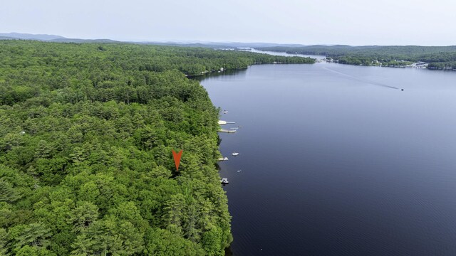 27 Chickadee Ln, Naples, ME 04055 - aerial view of a forest and a nearby body of water