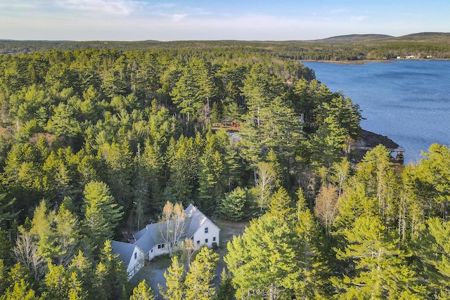 68 Parker Farm Rd, Mount Desert, ME 04660 - view of subject property featuring a forest and a nearby body of water
