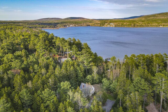 68 Parker Farm Rd, Mount Desert, ME 04660 - water view with a forest and a mountainous background