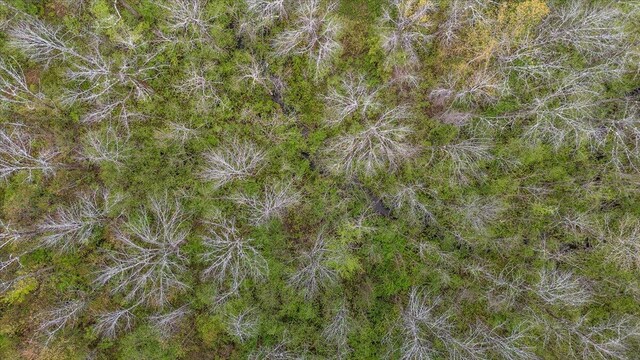 LOT16 Ashland Dr, Thomaston, ME 04861 - photo 7