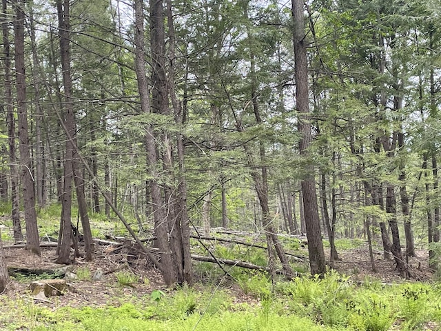 R8L13, 13A Zions Hill Rd, Chesterville, ME 04938