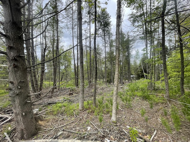 R8L13, 13A Zions Hill Rd, Chesterville, ME 04938