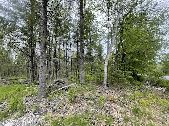 R8L13, 13A Zions Hill Rd, Chesterville, ME 04938