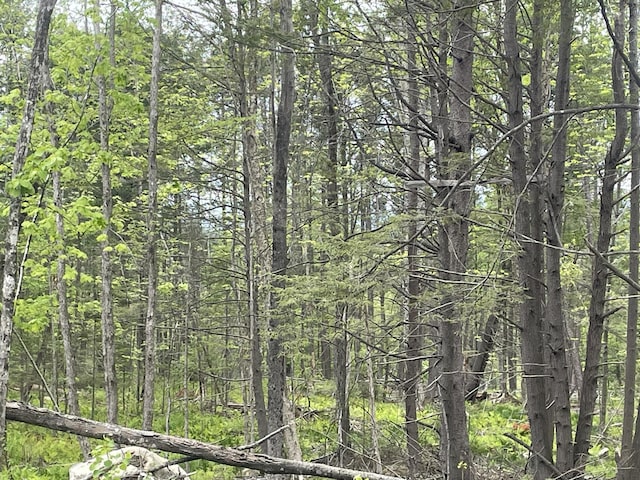 R8L13, 13A Zions Hill Rd, Chesterville, ME 04938