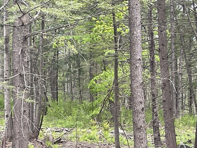 R8L13, 13A Zions Hill Rd, Chesterville, ME 04938