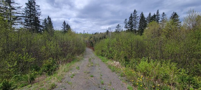 647 Gagnon Rd, Madawaska, ME 04756 - photo 3