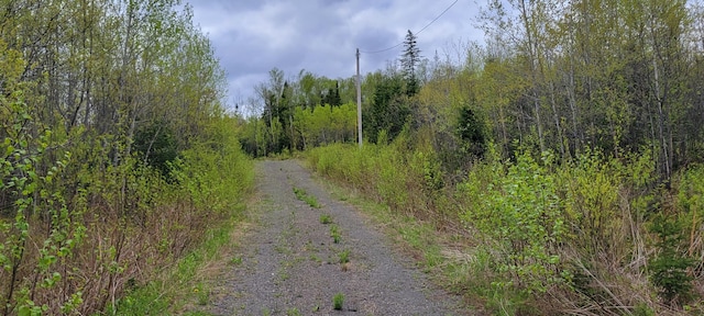 647 Gagnon Rd, Madawaska, ME 04756 - photo 4