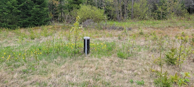647 Gagnon Rd, Madawaska, ME 04756 - photo 11