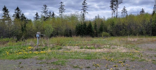 647 Gagnon Rd, Madawaska, ME 04756 - photo 13