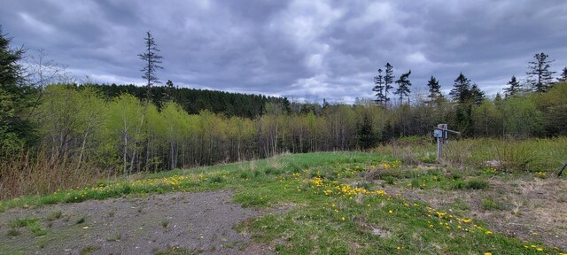 647 Gagnon Rd, Madawaska, ME 04756 - photo 15