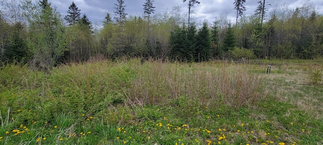 647 Gagnon Rd, Madawaska, ME 04756 - photo 17