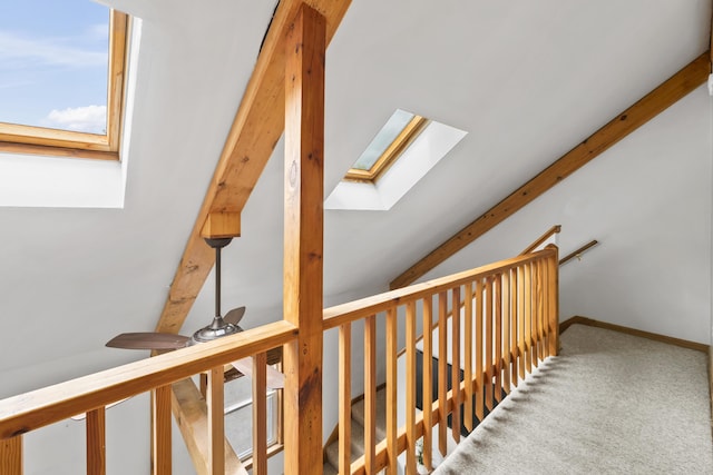801 US Route 1 Unit C1, York, ME 03909 - stairway featuring a skylight and carpet