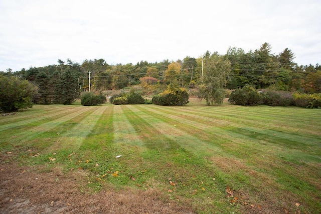 801 US Route 1 Unit C1, York, ME 03909 - view of green lawn