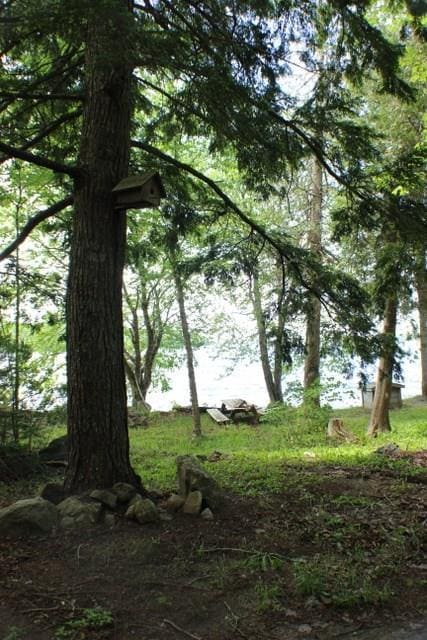 208 Camp Rd, Cooper, ME 04657 - view of local wilderness