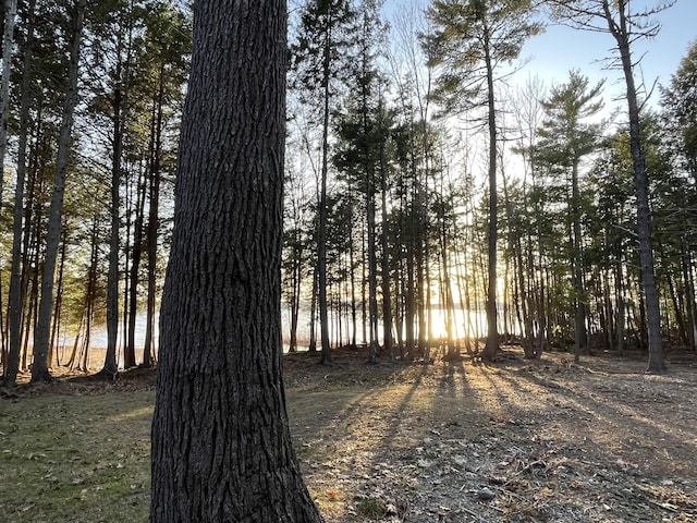 80 Bluejay Ln, Waltham, ME 04605 - view of undeveloped land
