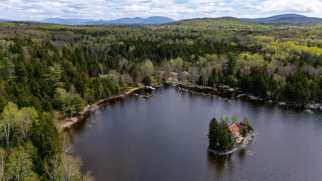 641 Bald Mountain Rd, Rangeley, ME 04970 - aerial view of property's location with a forest and a water and mountain view