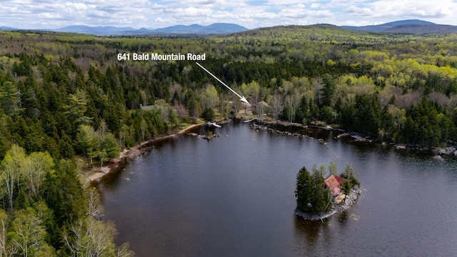641 Bald Mountain Rd, Rangeley, ME 04970 - view of property location with a heavily wooded area and a water and mountain view
