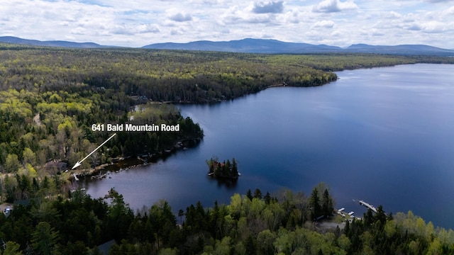 641 Bald Mountain Rd, Rangeley, ME 04970 - bird's eye view of a forest and a water and mountain view