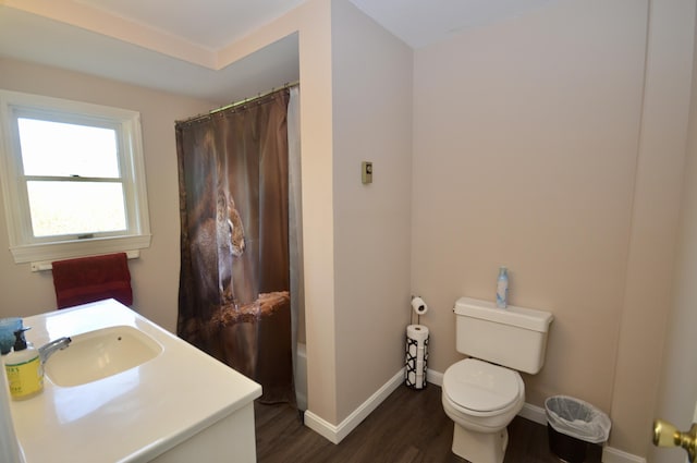 42 Blanchard St, Bangor, ME 04401 - full bathroom featuring wood finished floors, toilet, baseboards, vanity, and shower / bath combination with curtain