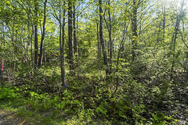 7 Intervale Rd, York, ME 03902 - photo 9