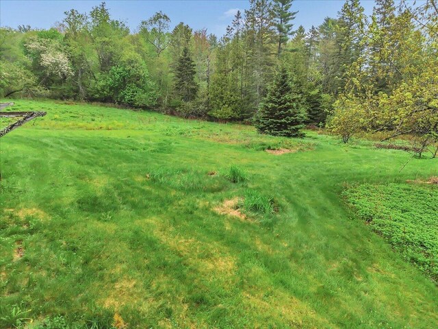 626 Main Rd, Eddington, ME 04428 - view of yard with a wooded view
