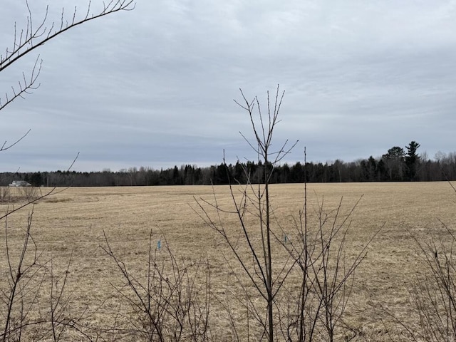 82 Taber Ln, Corinth, ME 04427 - view of yard with a rural view and a view of trees