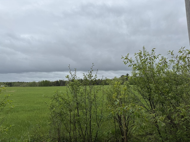 82 Taber Ln, Corinth, ME 04427 - view of local wilderness